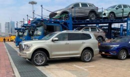 魏派坦克500最新爆料,硬核实力再升级，揭秘最新爆料！